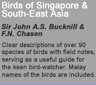 Birds of Singapore and South East Asia