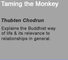 Taming the Monkey Mind