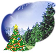 Tree decorations